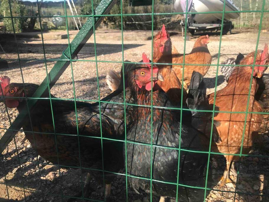 Agriturismo Il Sorbino - Appartamento Da Cocca Pian d'Alma Екстер'єр фото