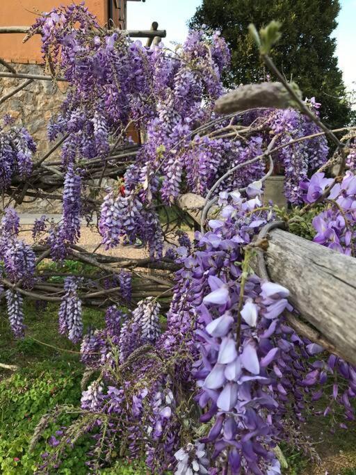 Agriturismo Il Sorbino - Appartamento Da Cocca Pian d'Alma Екстер'єр фото