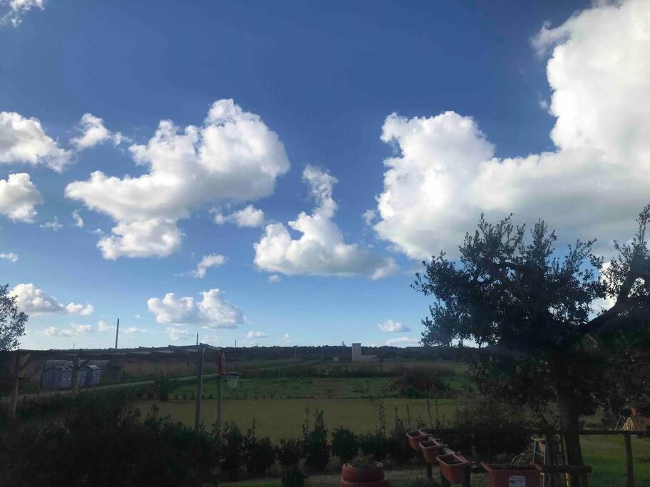 Agriturismo Il Sorbino - Appartamento Da Cocca Pian d'Alma Екстер'єр фото