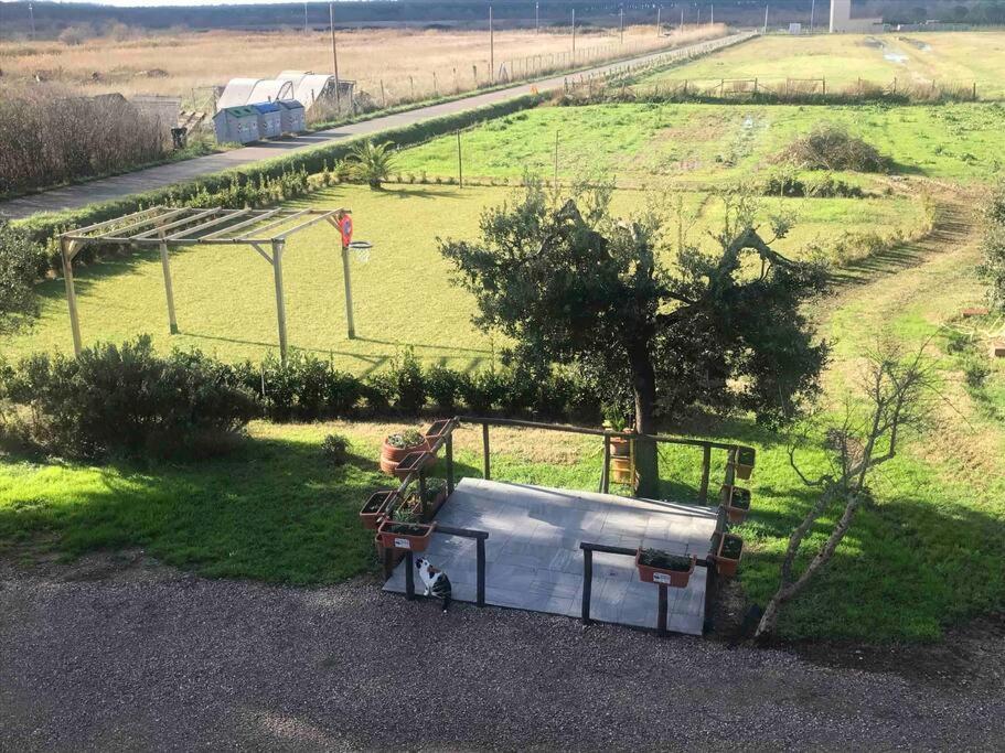 Agriturismo Il Sorbino - Appartamento Da Cocca Pian d'Alma Екстер'єр фото